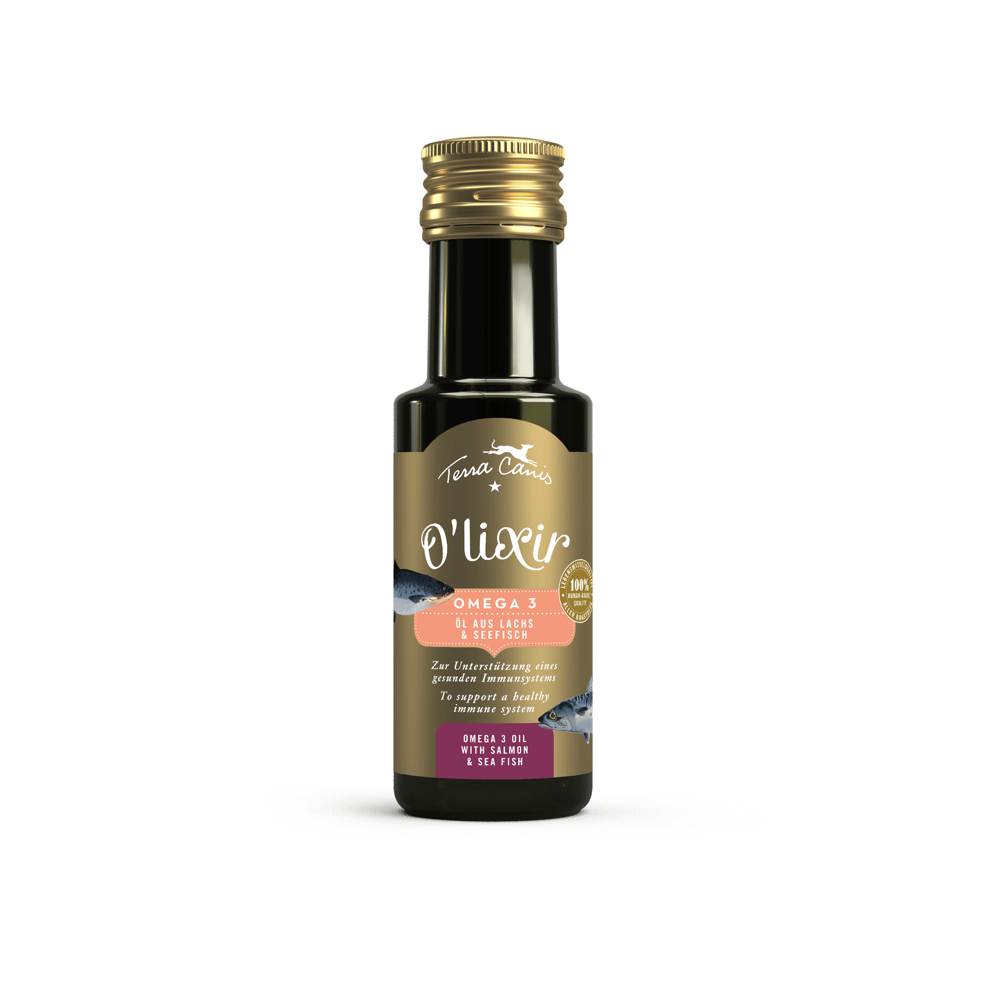 Oméga 3 - Huile de saumon