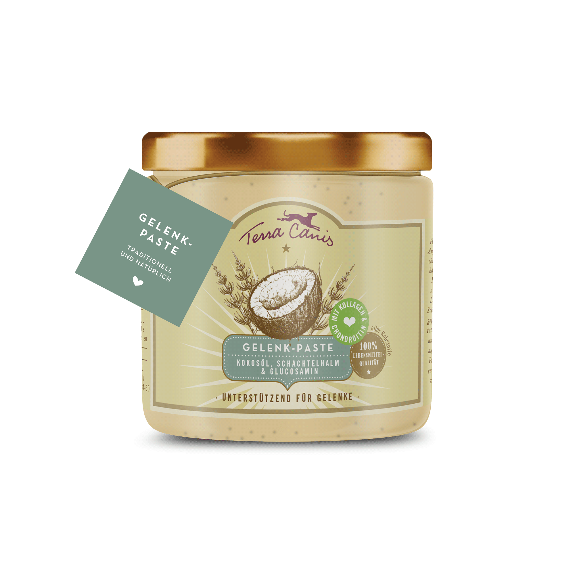 Gelenk-Paste